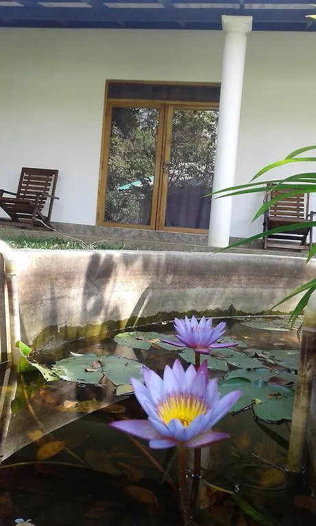 River Retreat Sigiriya Guest house